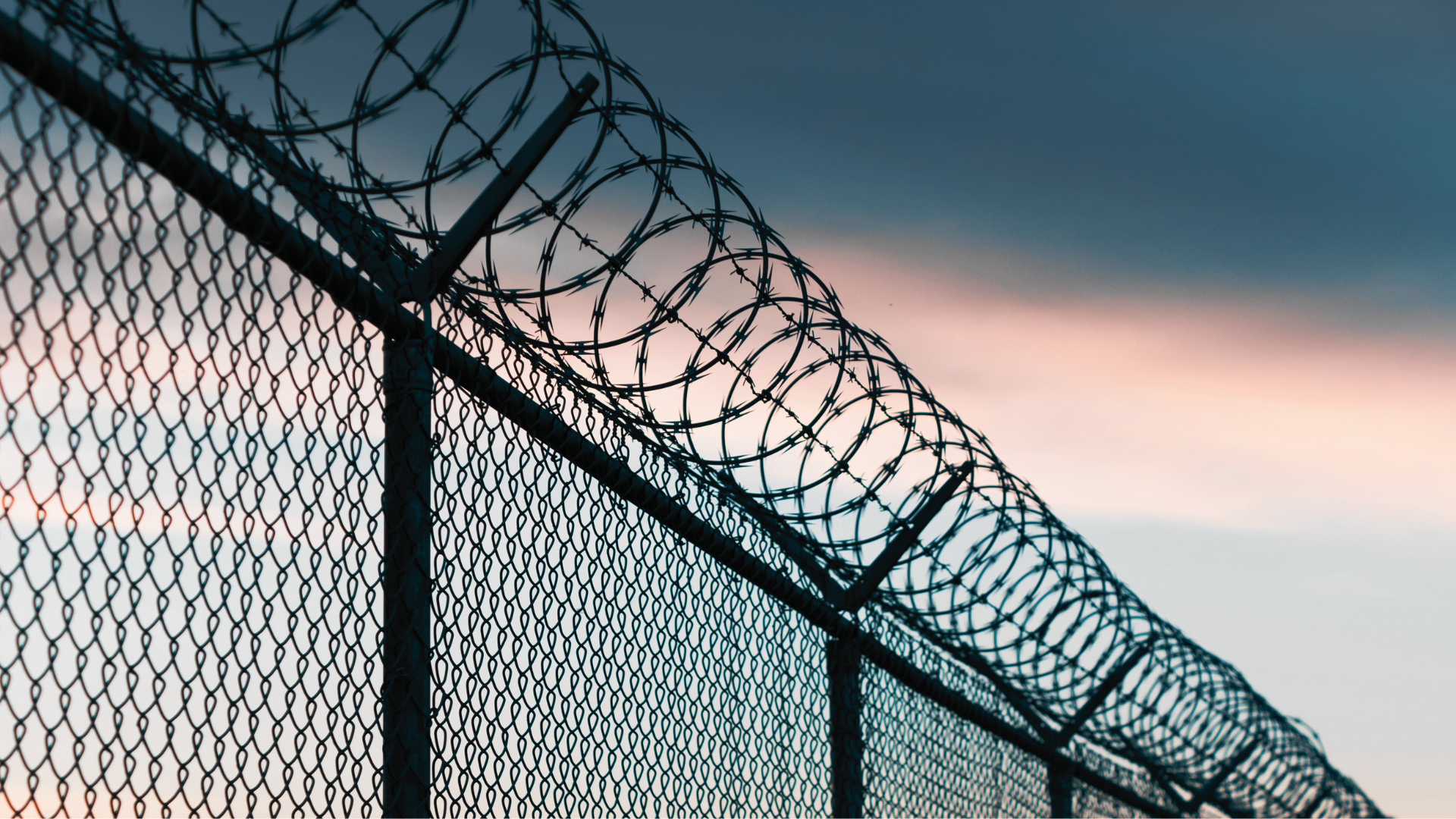 Border patrol pitch deck (15)