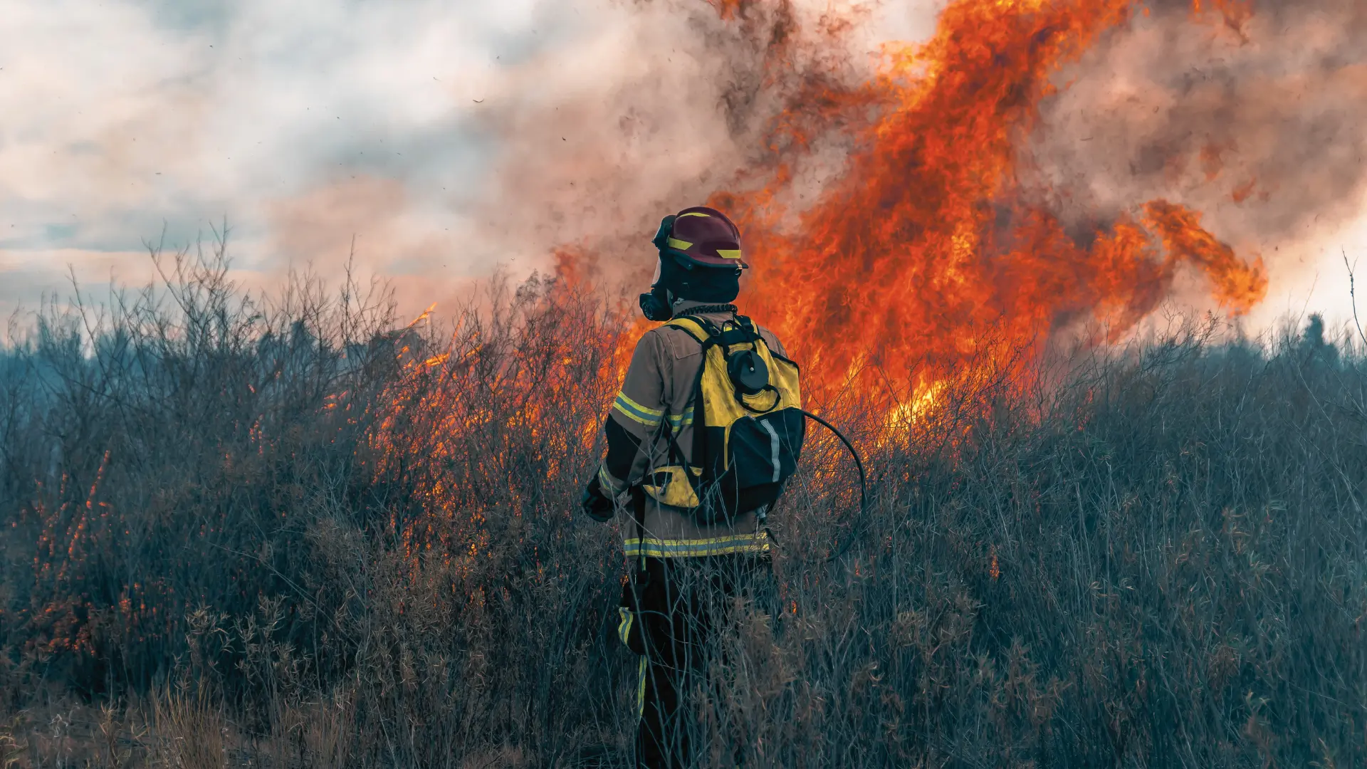 Border-patrol-pitch-deck-16